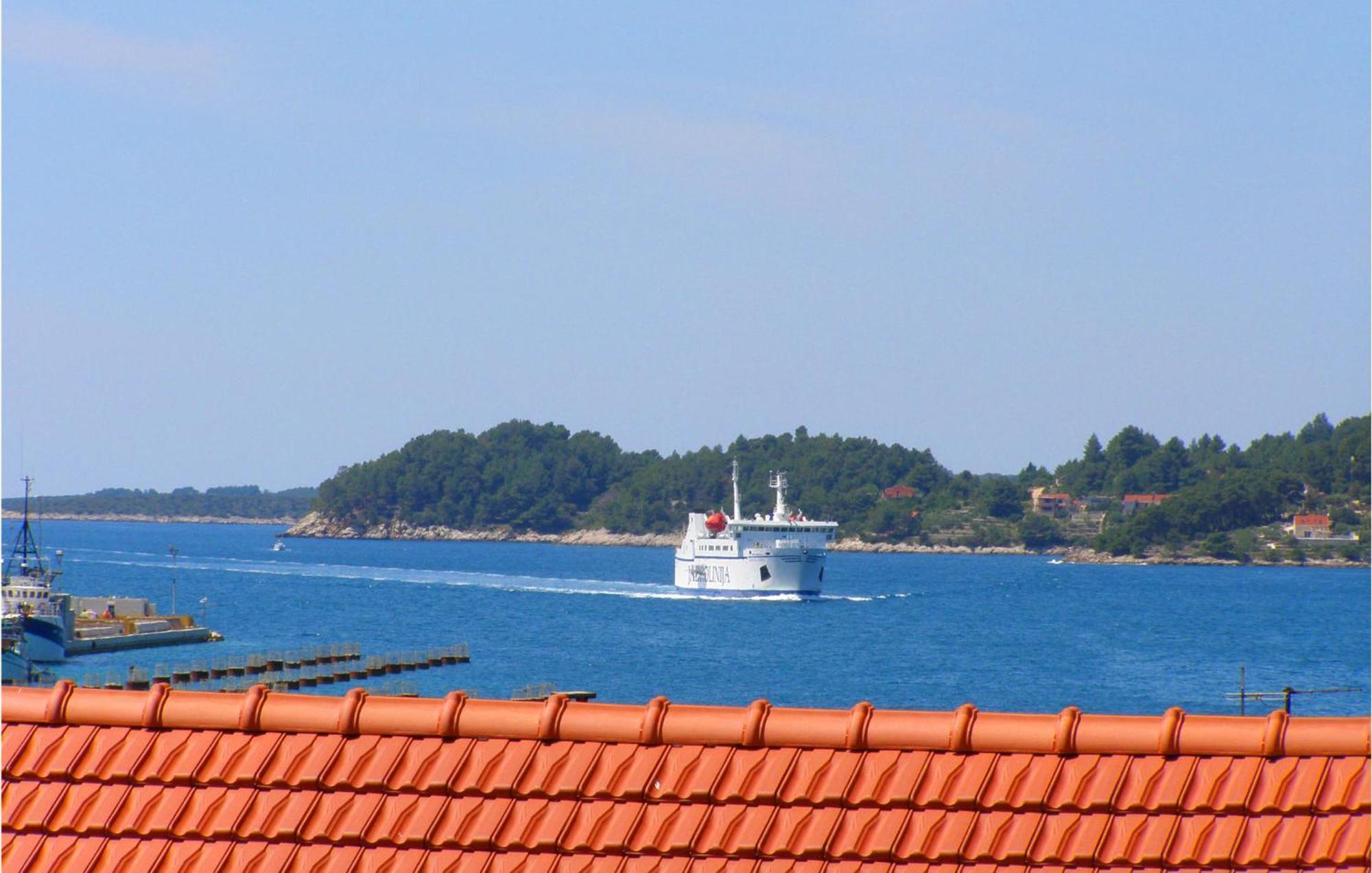 Beautiful Apartment In Vela Luka With Wifi エクステリア 写真